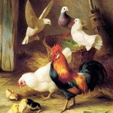 Схема вышивки «Куры, голуби, цыплята»
