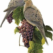 Схема вышивки «Виноград с голубями»