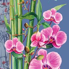 Оригинал схемы вышивки «Orquídea.» (№2405880)
