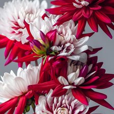 Схема вышивки «Цветочки»