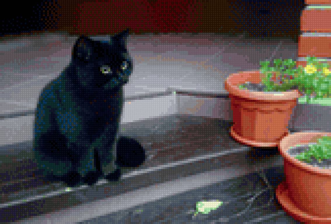 Кот Тимоша - котик - предпросмотр