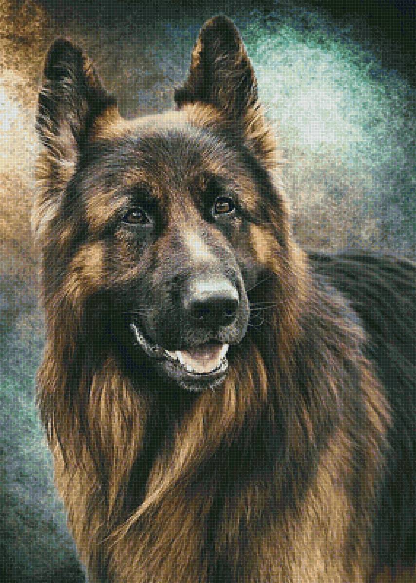 Немецкая овчарка - породы собак - предпросмотр