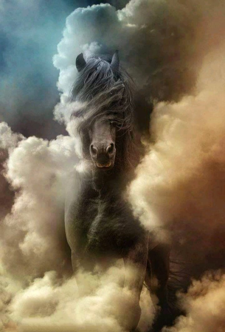 Конь - миф, лошади - оригинал