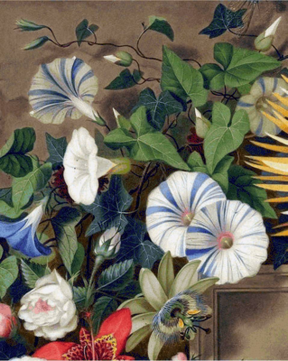 242 - ale - предпросмотр