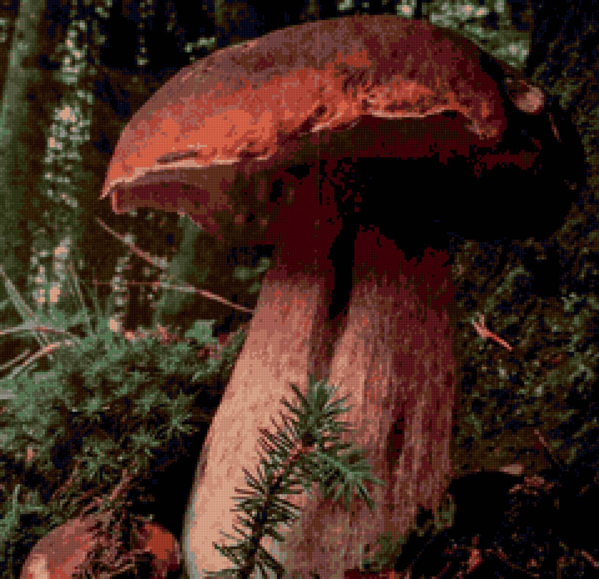 Семья грибов - грибы, семья, лес - предпросмотр