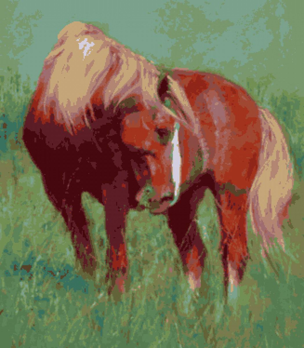 Конь - лето, конь - предпросмотр