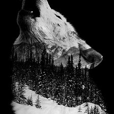 Оригинал схемы вышивки «Волк на фоне гор» (№2406339)