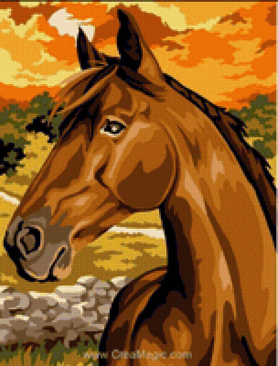 Лошадь - миф, лошади - предпросмотр