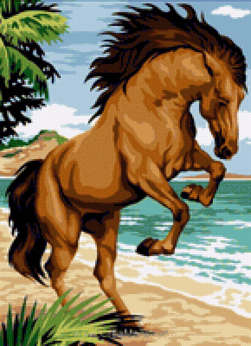 На пляже - миф, лошади - предпросмотр