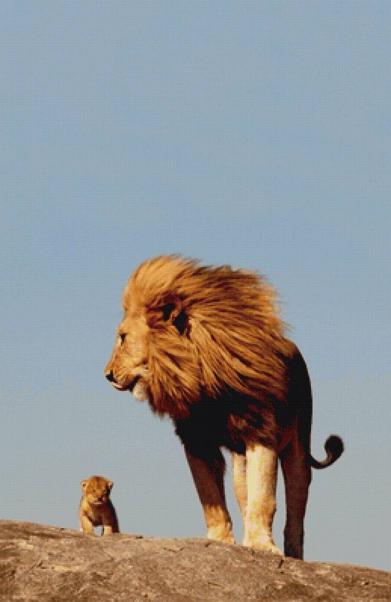 Лев и львёнок - львенок, лев - предпросмотр