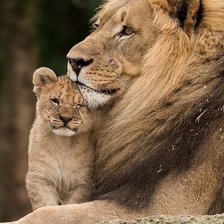 Схема вышивки «№2406846»