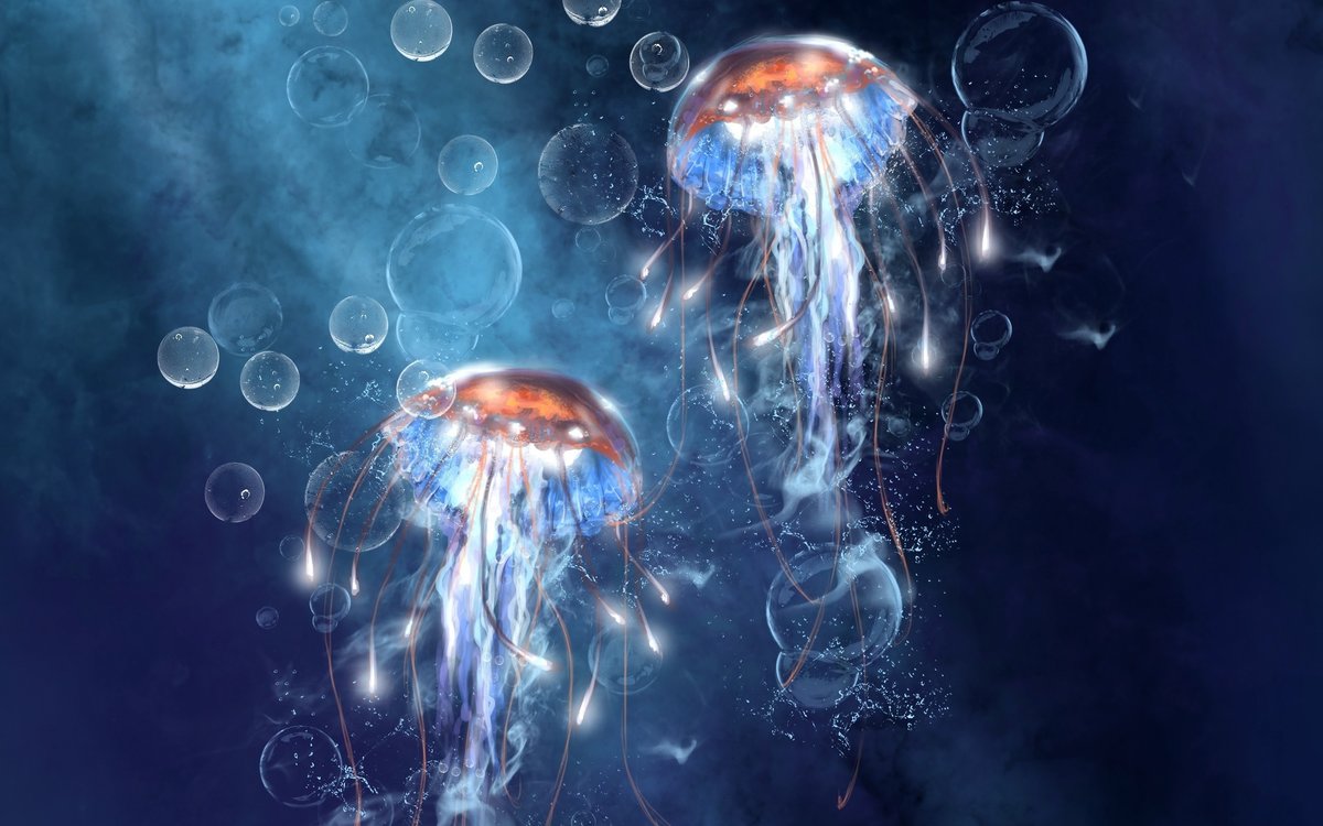 Медуза - морские жители, медуза, подводный мир - оригинал
