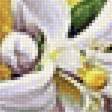Предпросмотр схемы вышивки «Лимоны» (№2407440)
