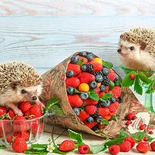 Схема вышивки «ёжик»