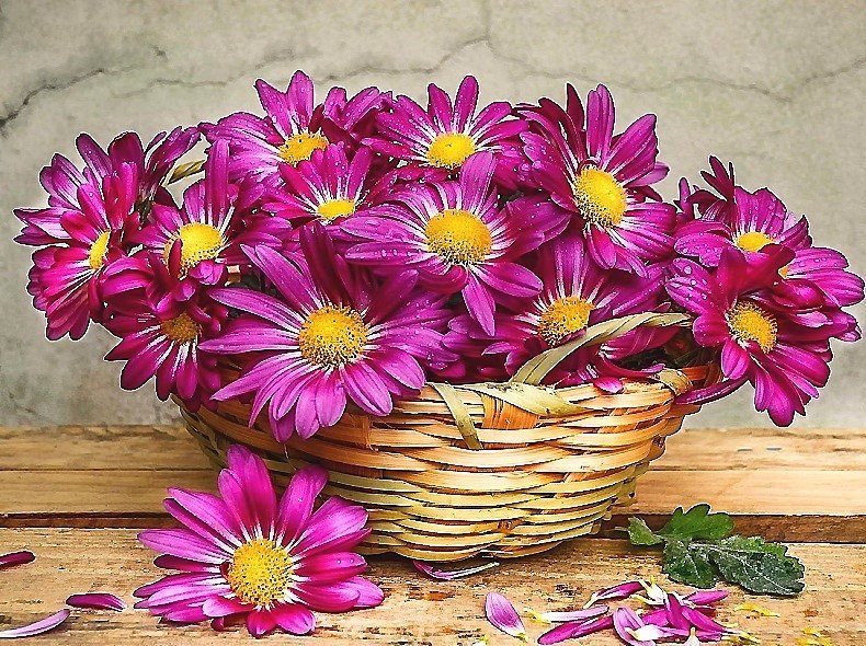 Корзинка с цветами - цветы, букет, корзинка - оригинал