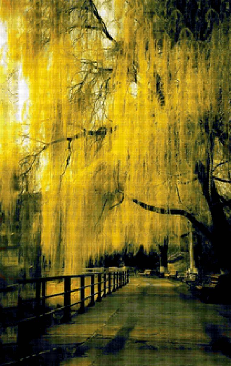 Осень - осень, пейзаж, красивые, природа - предпросмотр