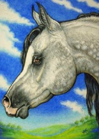 Красавчик - лошади, миф - оригинал