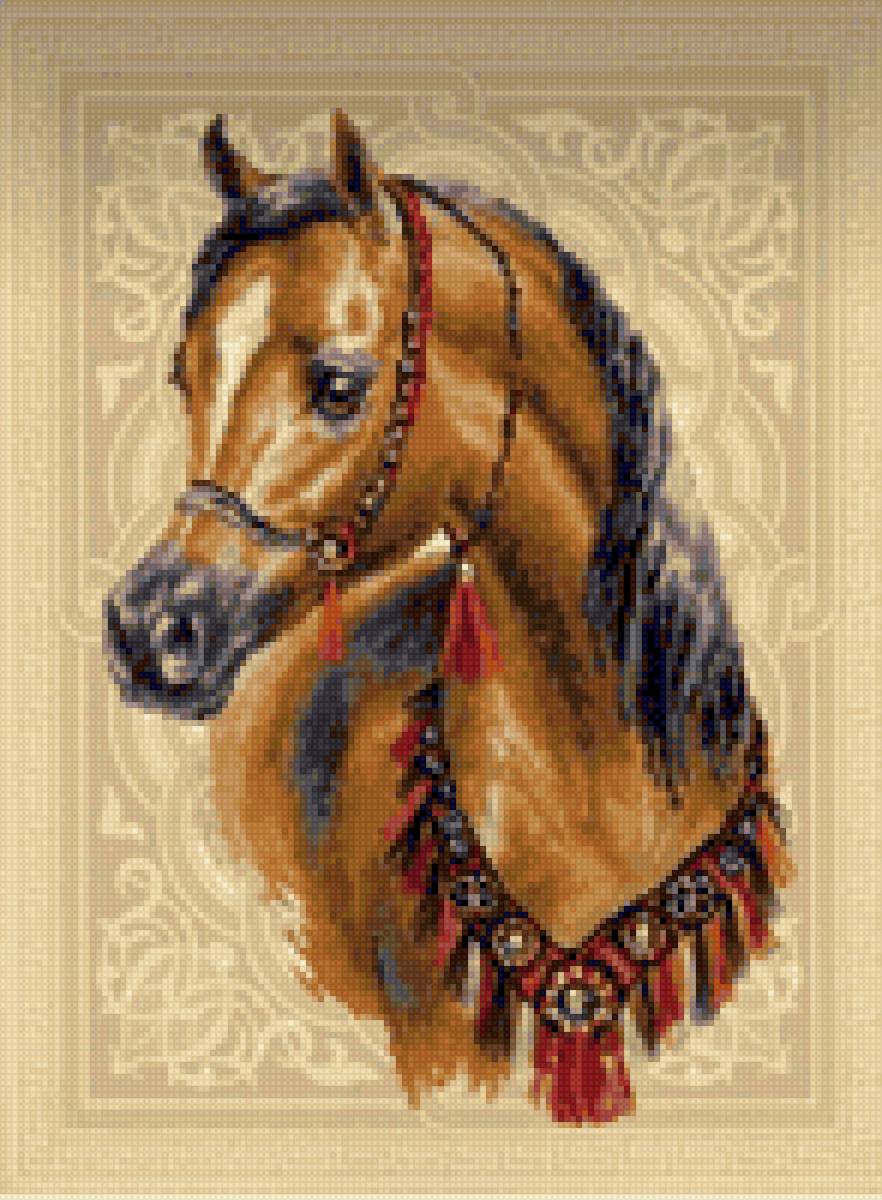 Араб - лошади, миф - предпросмотр