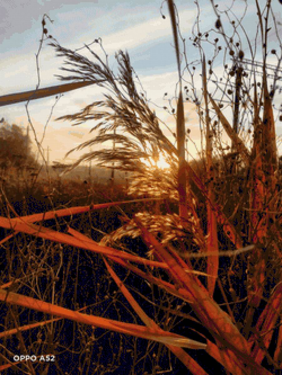 Рассвет - утро, рассвет, природа - предпросмотр