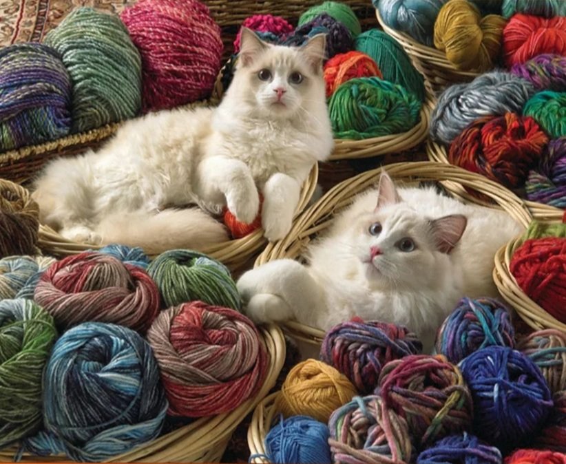 Gatitos - оригинал