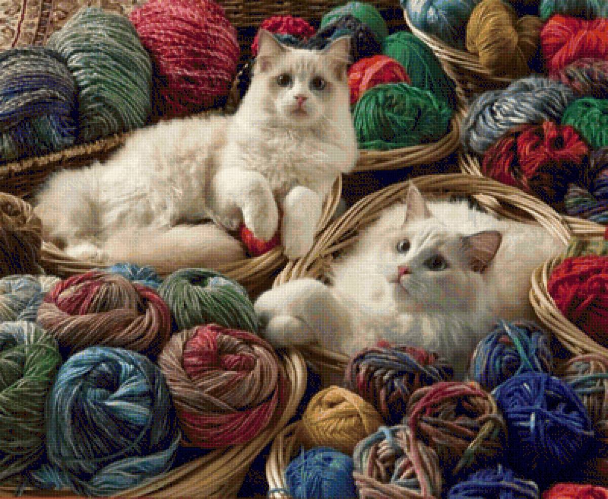 Gatitos - предпросмотр