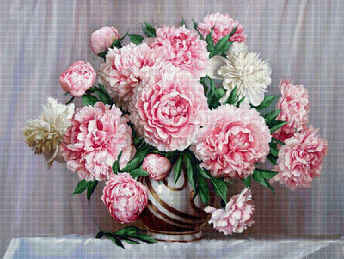 Пионы - предпросмотр