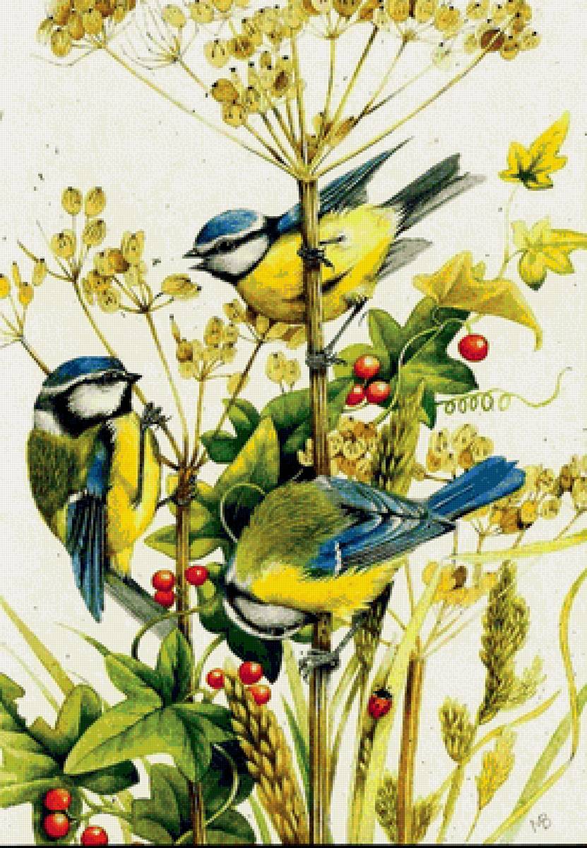 Марджолейн Бастин картины птицы
