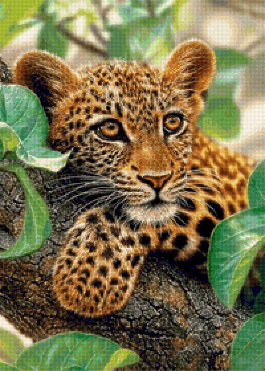 Гепард - малыш, гепард - предпросмотр