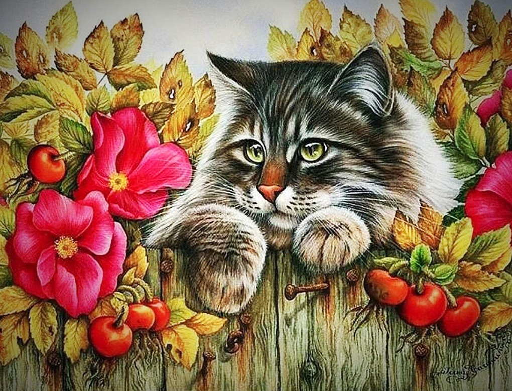 Кот и забор - кот - оригинал