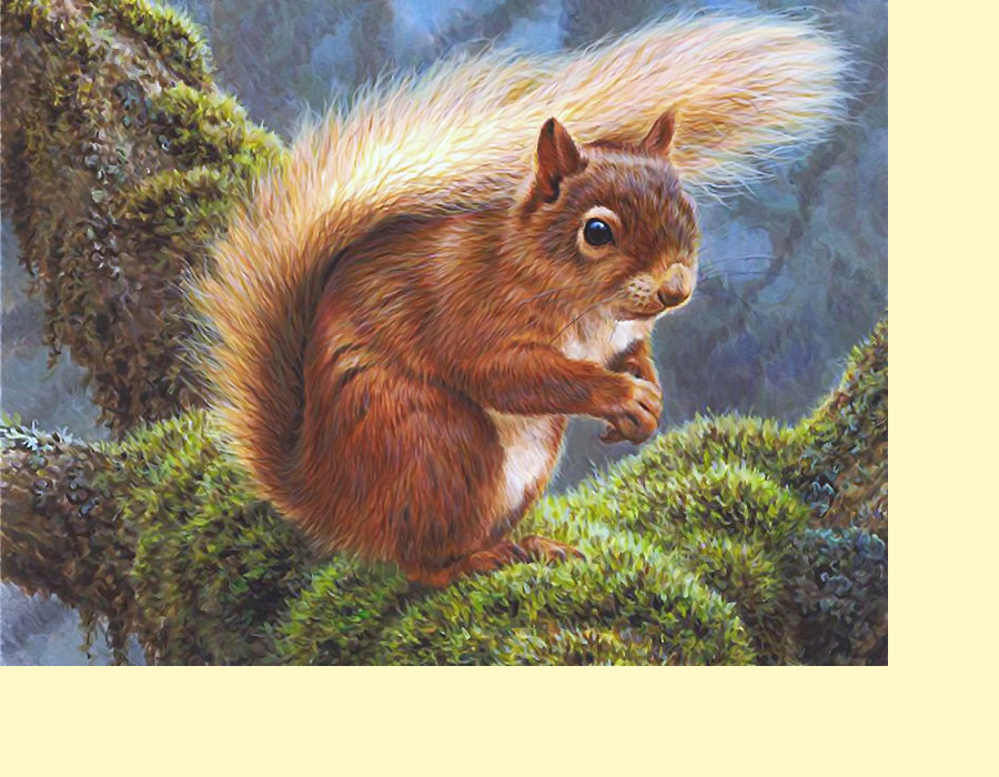 Серия "Грызуны". Белка - грызуны, белка, животные - оригинал