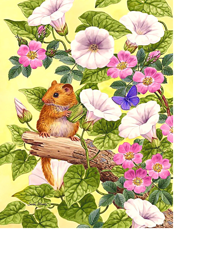 Серия "Грызуны". - шиповник, вьюнок, грызуны - оригинал