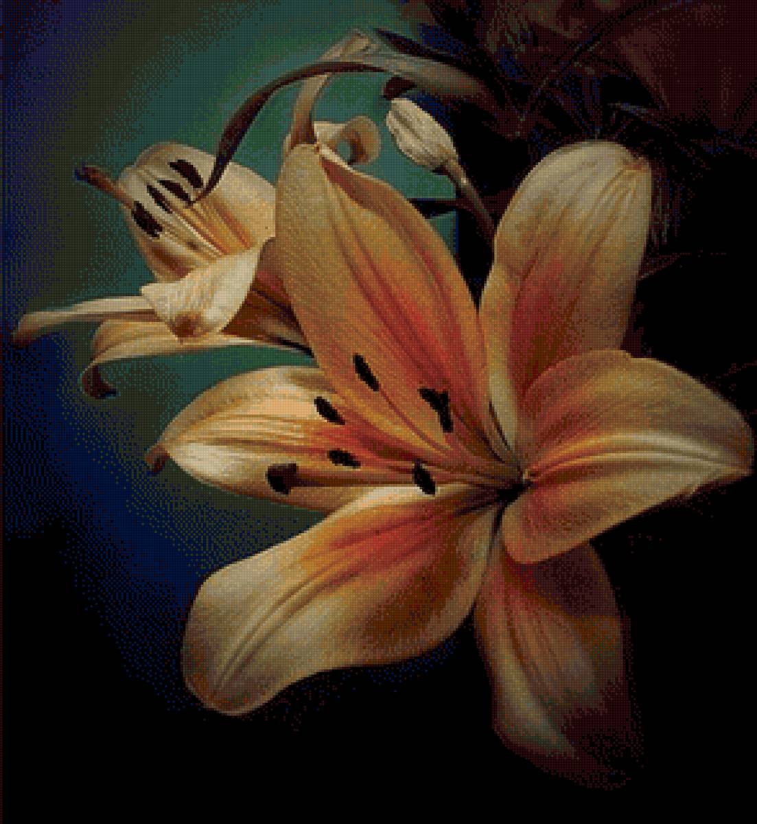 Лилия - цветы, натюрморт, лилия - предпросмотр