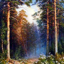 Сосновый лес. Сергей Балабушкин