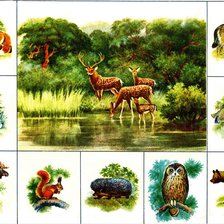 Схема вышивки «№2410159»