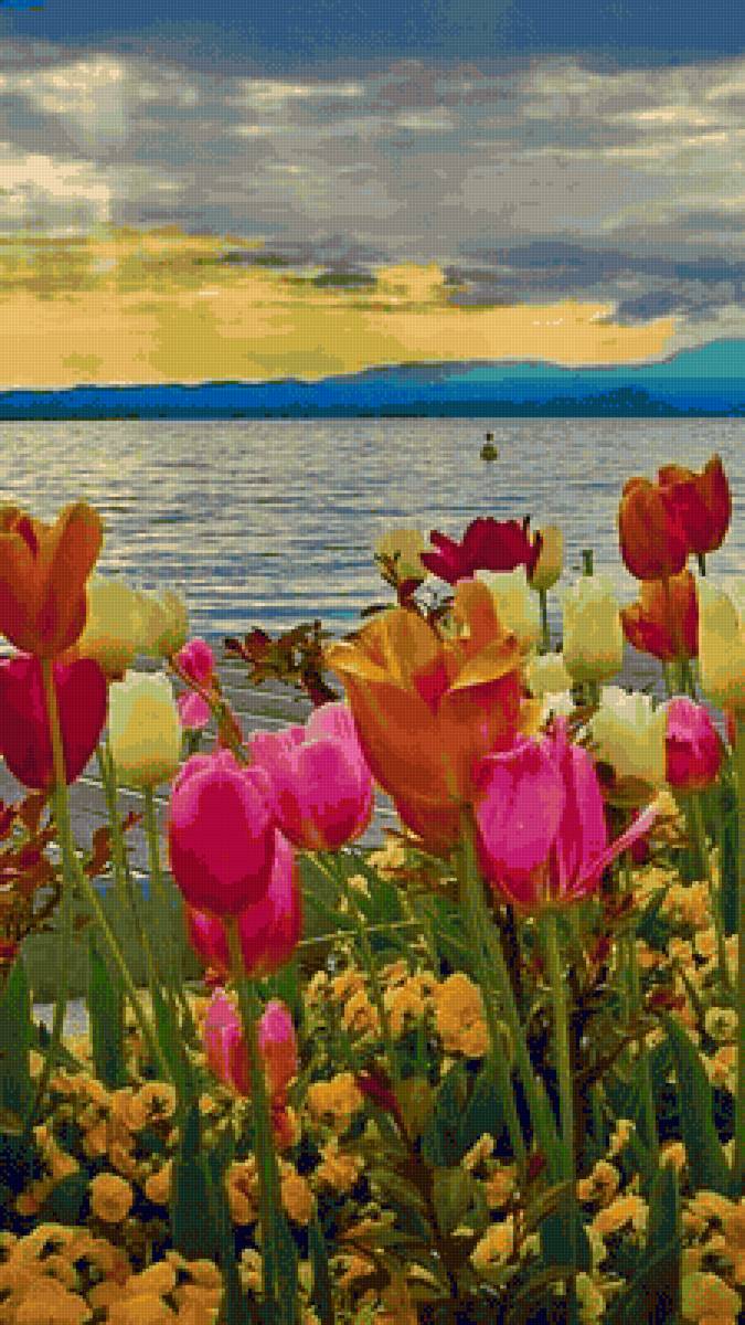 Hermoso - paisaje - предпросмотр