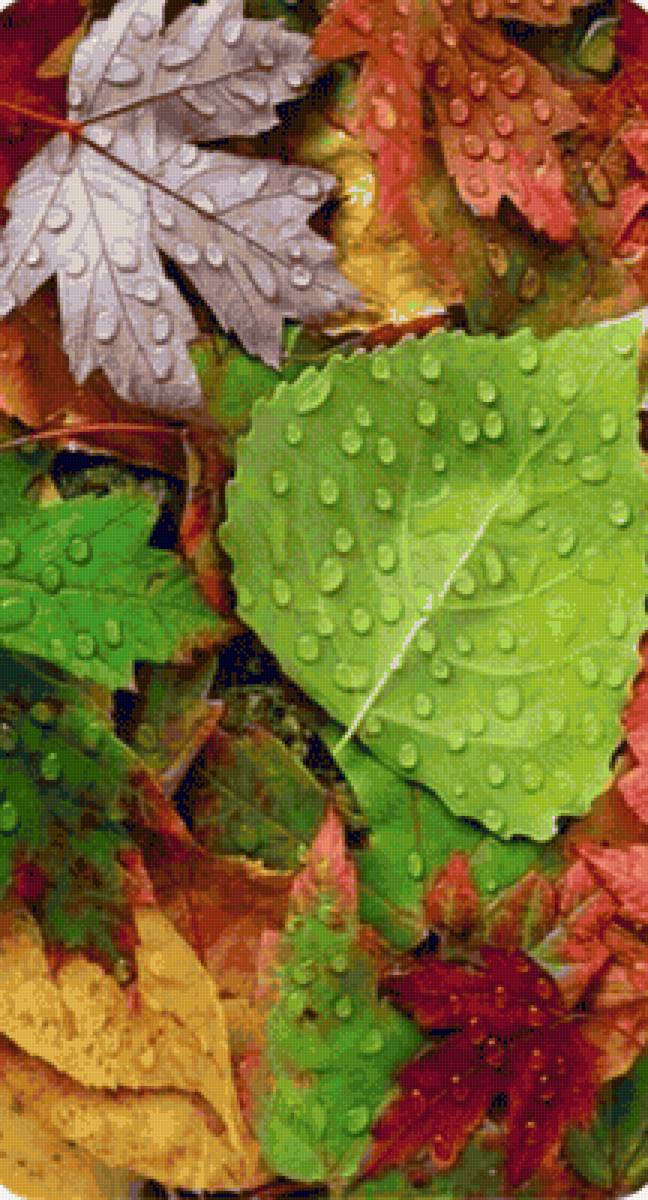 Gotas - naturaleza - предпросмотр