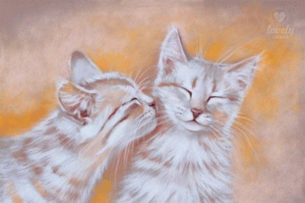 gatitos amorosos - предпросмотр