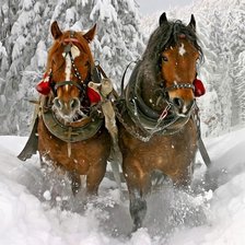 Схема вышивки «лошади»