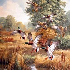 Схема вышивки «утки»