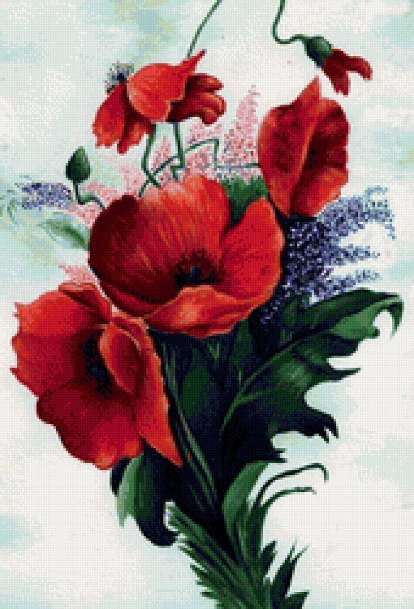 Маки - маки, букет, красивые, цветы - предпросмотр