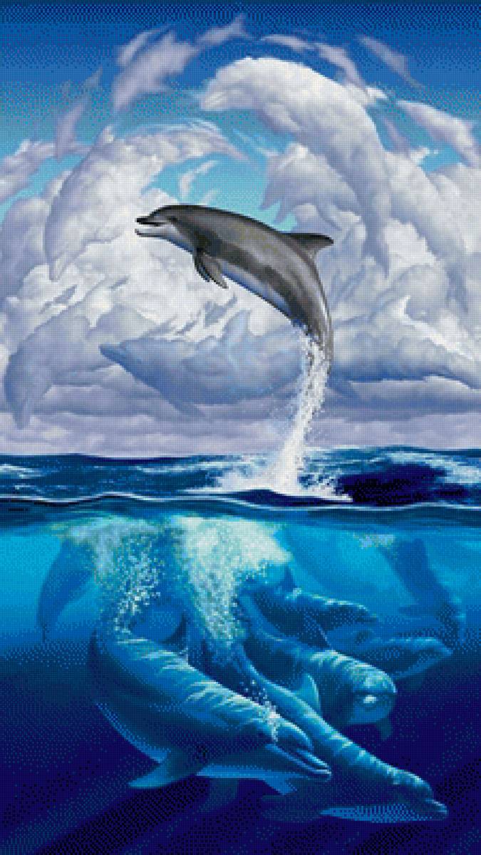 Дельфинье царство - дельфины, море - предпросмотр
