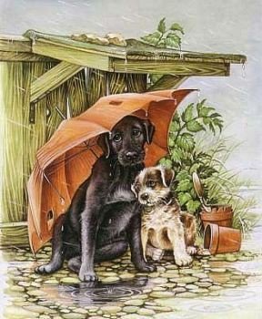 Два друга - собаки, зонтик - оригинал