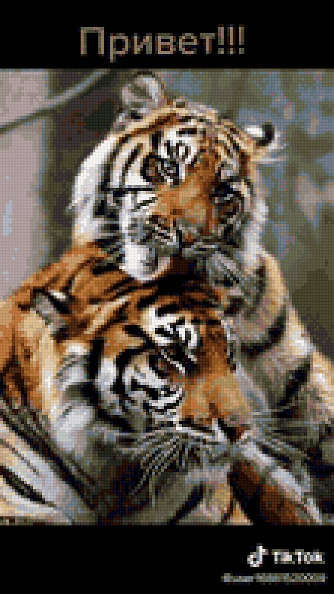 тигры - тигр - предпросмотр