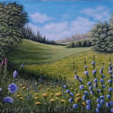 Схема вышивки «полевые цветы»