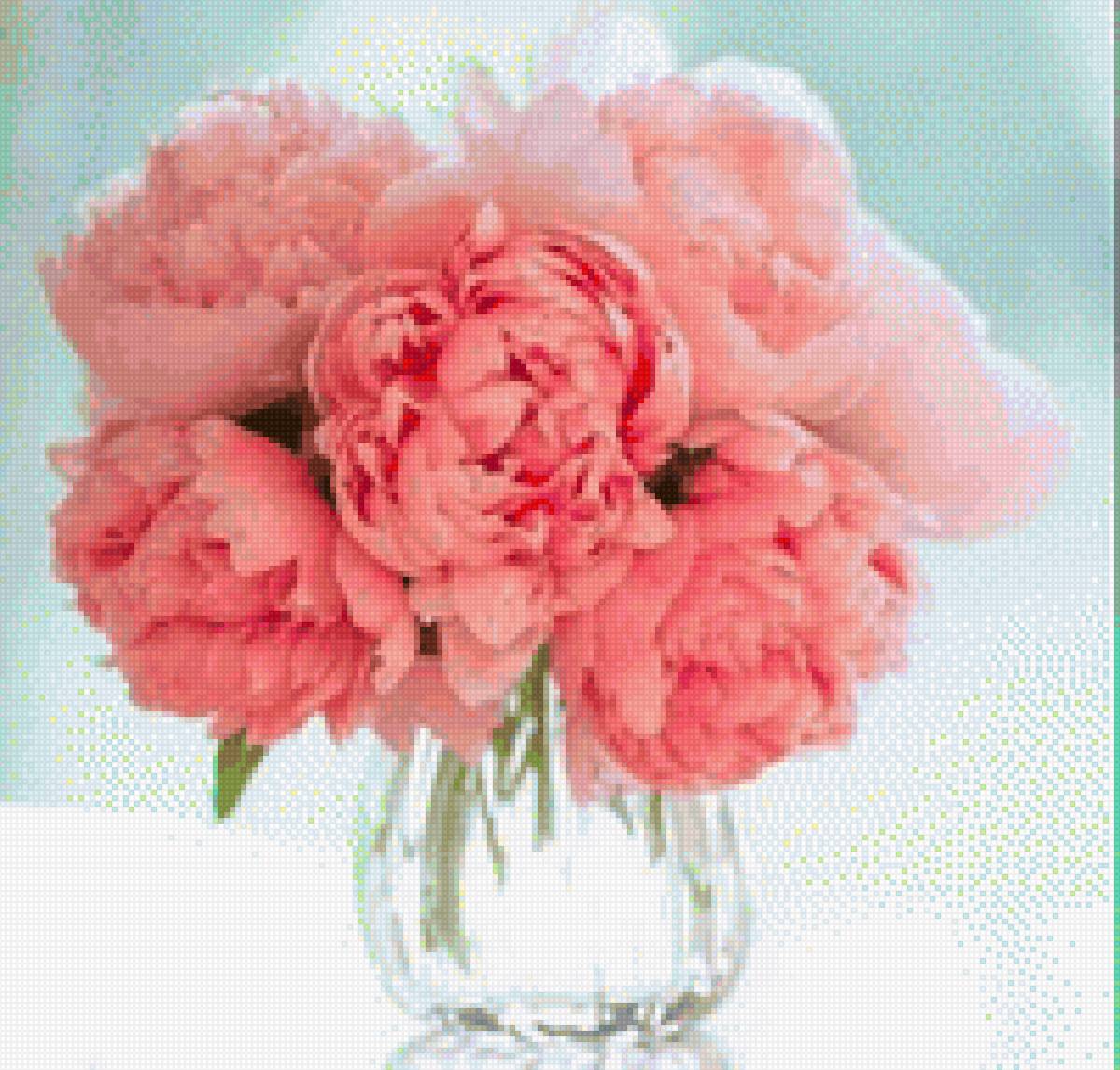 Пионы - нежный, весна, пионы, цветы - предпросмотр