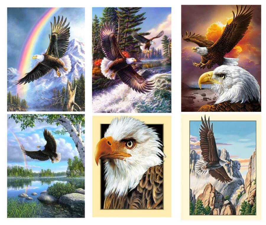 птицы - оригинал