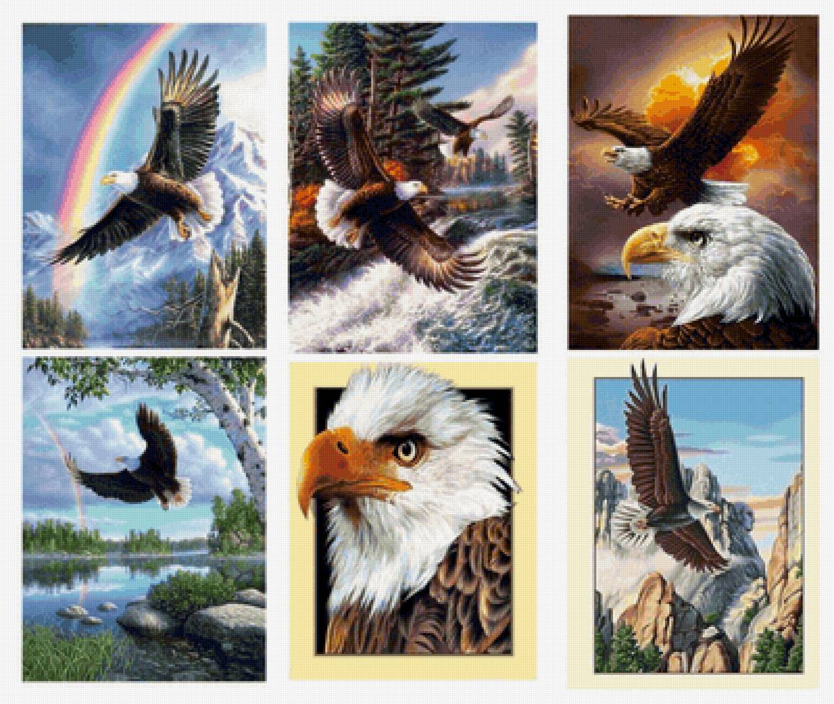 птицы - предпросмотр