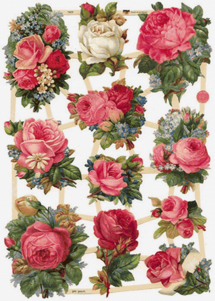 №2412404 - предпросмотр