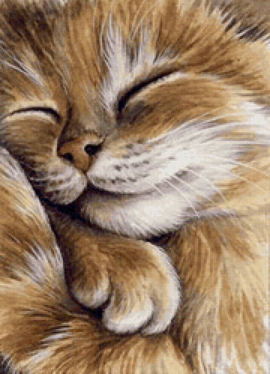 Сладкий сон - кот - предпросмотр