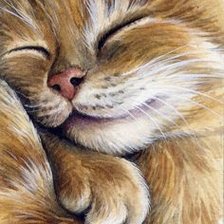 Схема вышивки «Сладкий сон»